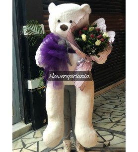 170cm peluş ayıcık kokina buketi beyaz gül