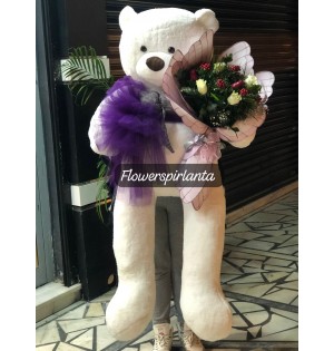 170cm peluş ayıcık kokina buketi beyaz gül