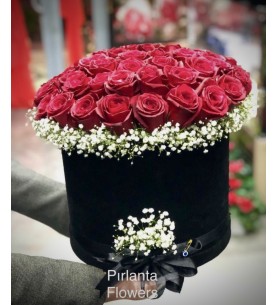 kutuda gül