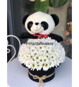 peluş pandalı kutuda papatya