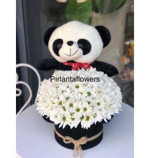peluş pandalı kutuda papatya
