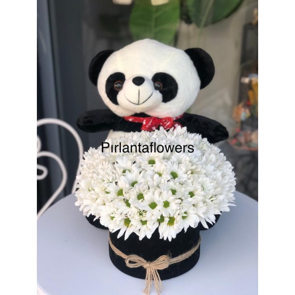 peluş pandalı kutuda papatya