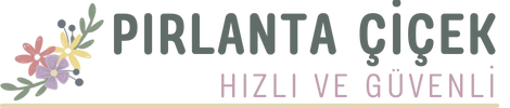 https://www.instagram.com/flowerspirlanta/?igshid=YmMyMTA2M2Y%3D